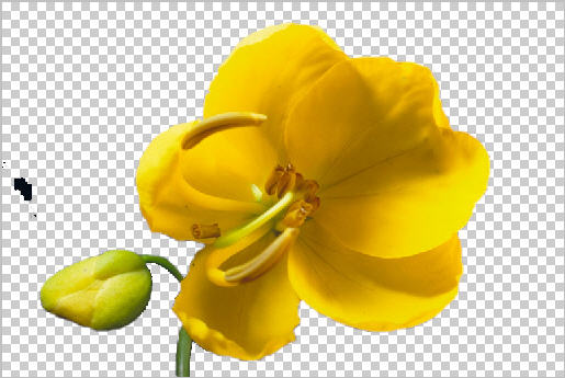 完全剖析影像去背part I 純色背景去背法 房匠網fun Jiang 痞客邦