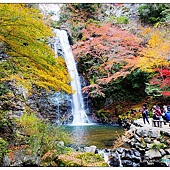 nEO_IMG_DSC08343 nEO_IMG_DSC08343