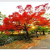 nEO_IMG_DSC08350 nEO_IMG_DSC08350