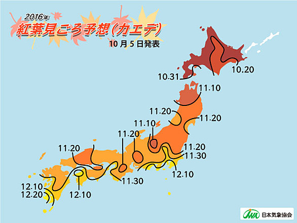 chart_large chart_large