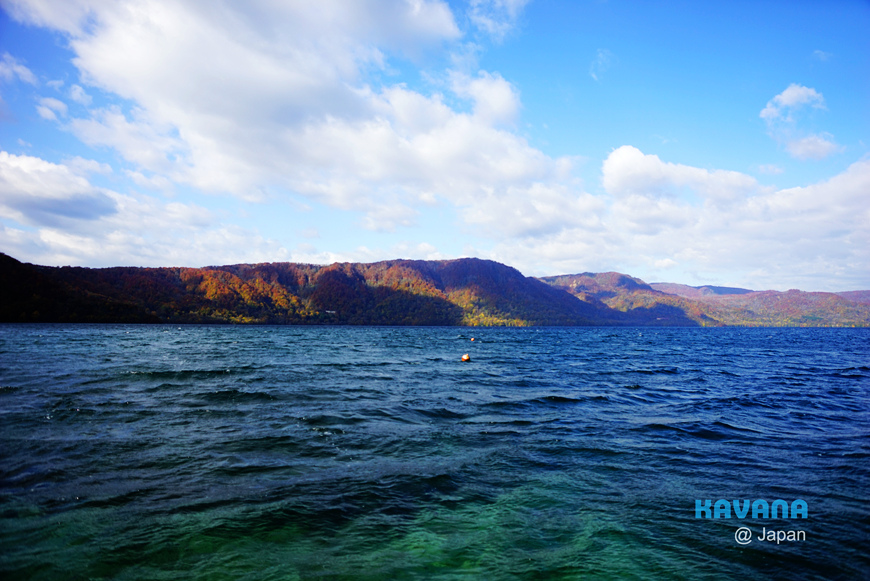 DSC04980.jpg DSC04980.jpg