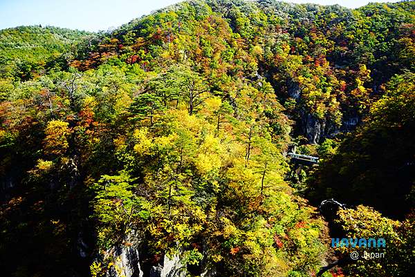 宮城 日本紅葉百選 賞楓超名所 鳴子峽 卡瓦納 京都自由滯在 痞客邦