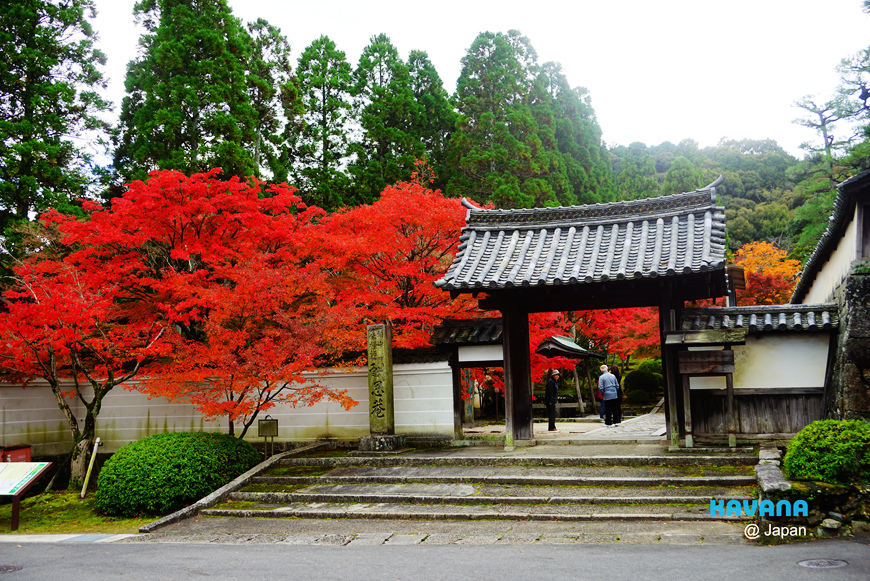 京都郊區的紅葉名所 一休寺 紅葉之美無法直視 卡瓦納 京都自由滯在 痞客邦 京都郊區的紅葉名所 一休寺 紅葉之美無法直視 卡瓦納 京都自由滯在 痞客邦