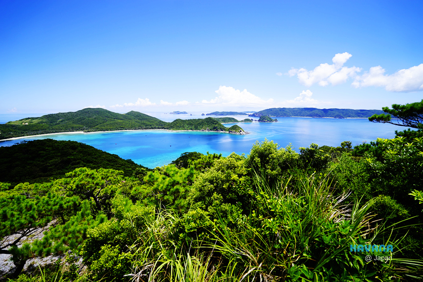 沖繩跳島 慶良間群島之 座間味島 無敵海景絕美沙灘 雪花台湾