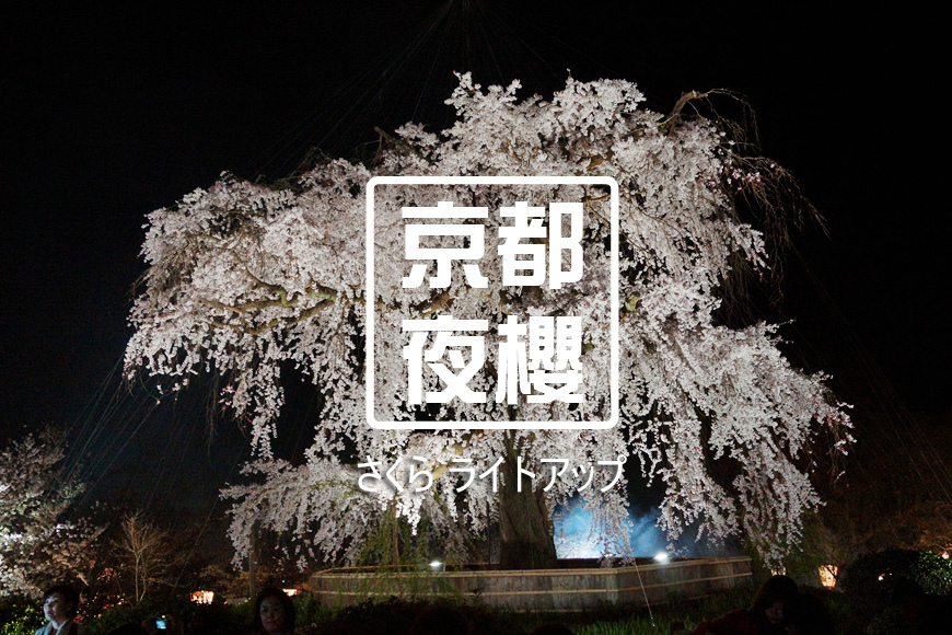 sakura sakura