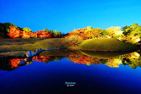 梅小路公園朱雀の庭夜間點燈 梅小路公園紅葉まつり 19年點燈時間公布 卡瓦納 京都自由滯在 痞客邦