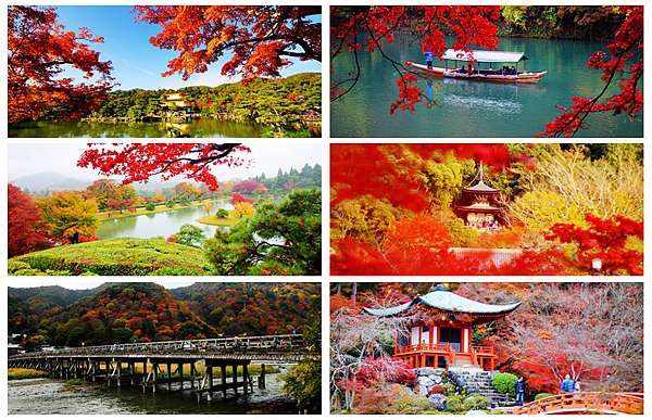 19京都賞楓行程攻略 六條紅葉經典路線交通 景點 行程安排完整分享 卡瓦納 京都自由滯在 痞客邦