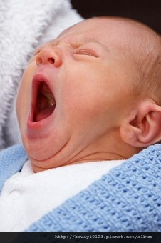 baby-19295__340.jpg baby-19295__340.jpg