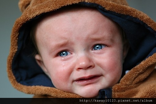 baby-443390__340.jpg baby-443390__340.jpg