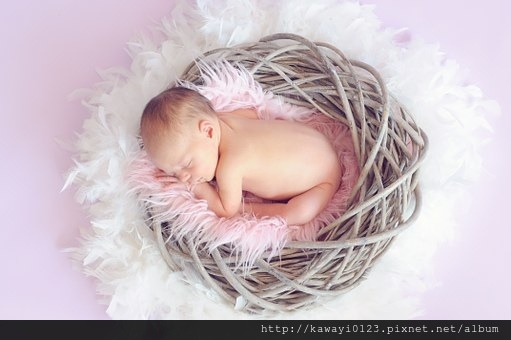 baby-784608__340.jpg baby-784608__340.jpg
