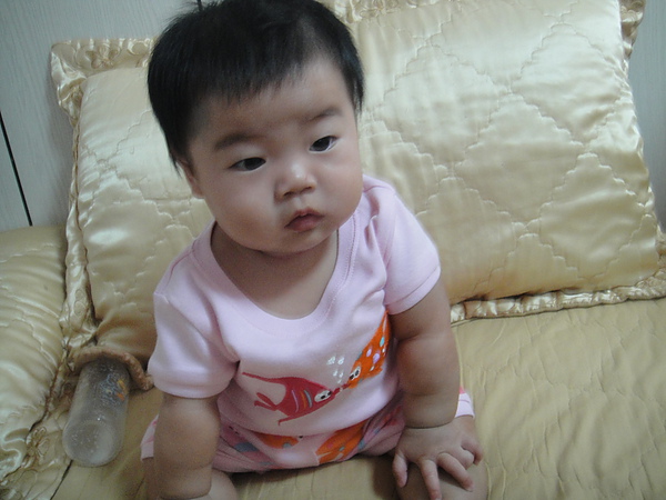 DSC03680.JPG