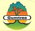 gumtree.JPG