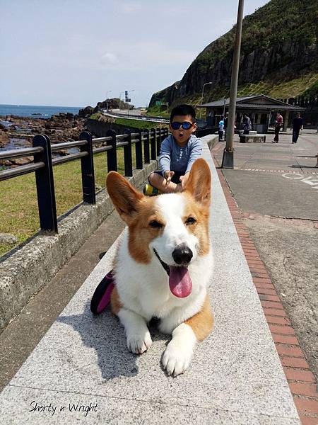 2018-03-25-12-38-45-893_1521954812413.jpg 2018-03-25-12-38-45-893_1521954812413.jpg