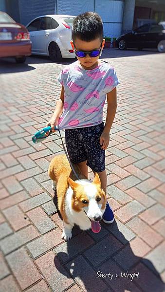 2017073013463362412.jpg 2017073013463362412.jpg