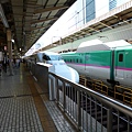 P1000672
