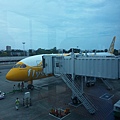 20150822_112432.jpg