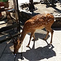 20150823_103823.jpg