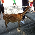 20150823_103903.jpg