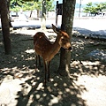 20150823_104019.jpg