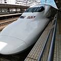 P1000675.JPG