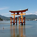 20150823_105431.jpg