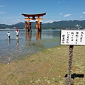 20150823_110234.jpg
