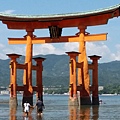 20150823_110242.jpg