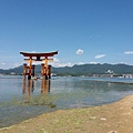 20150823_110557.jpg