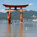 20150823_110721.jpg