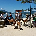 20150823_111503.jpg