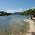20150823_125354.jpg