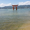 20150823_125519.jpg