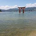20150823_125526.jpg