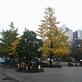 20141126_105724