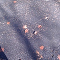 20141127_102140.jpg