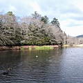 20141127_112947.jpg