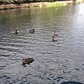 20141127_112954.jpg