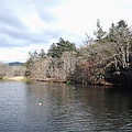 20141127_113002.jpg
