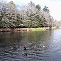 20141127_113007.jpg