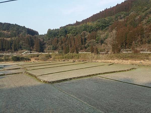 20160226_091645.jpg
