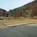 20160226_091645.jpg