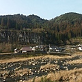 20160226_091708.jpg