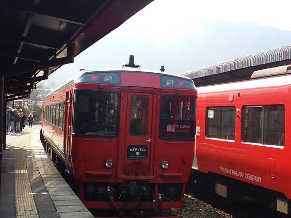 20160226_100306.jpg