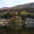 20160226_115715.jpg