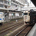 DSCN3497.JPG