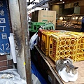 20160828_112003.jpg