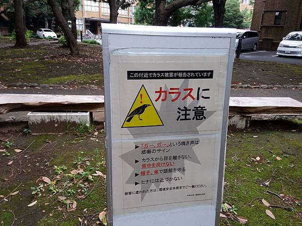 20160828_140003.jpg