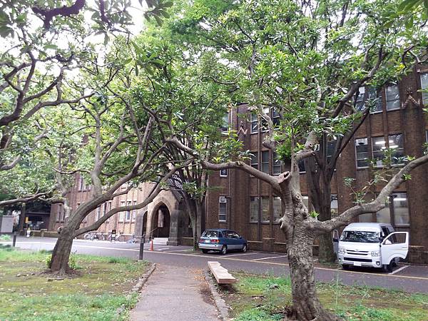 20160828_140530.jpg
