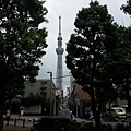 20160829_125321.jpg