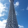 20160829_133126.jpg